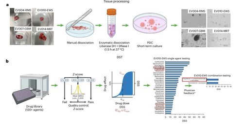 廣種薄收與直搗黃龍 腫瘤學產(chǎn)品開發(fā)的“太極生兩儀”與網(wǎng)絡科技技術(shù)開發(fā)的啟示