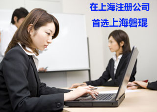 上海磐琨企業管理咨詢